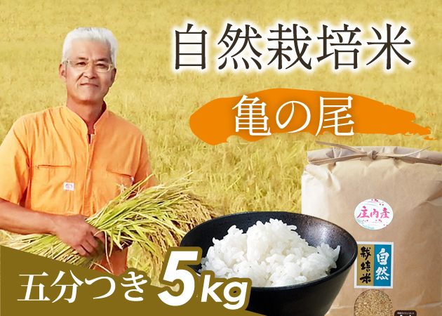 自然栽培米 亀の尾 五分づき10㎏