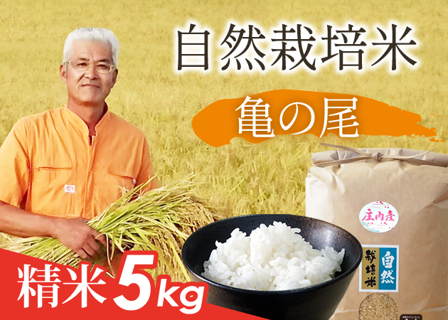 自然栽培米 亀の尾 精米5㎏
