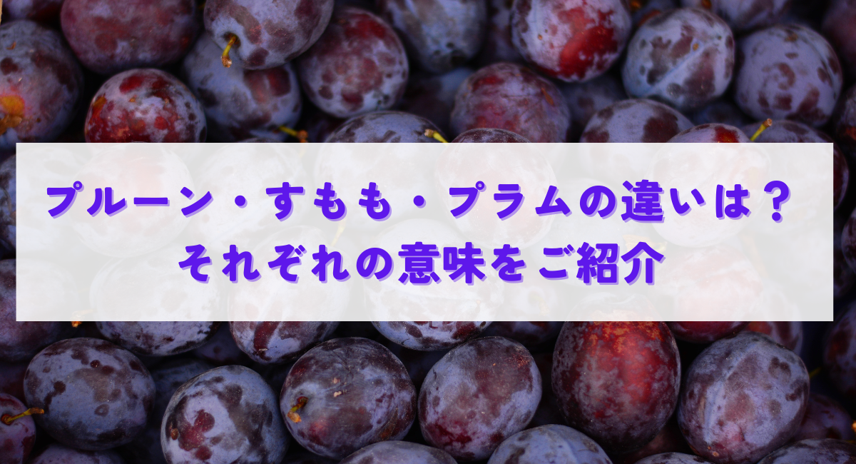 プルーン・すもも・プラムの違いは?それぞれの意味をご紹介 | 旬旬食彩ダイニング