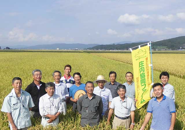 庄内協同ファームの商品一覧へ