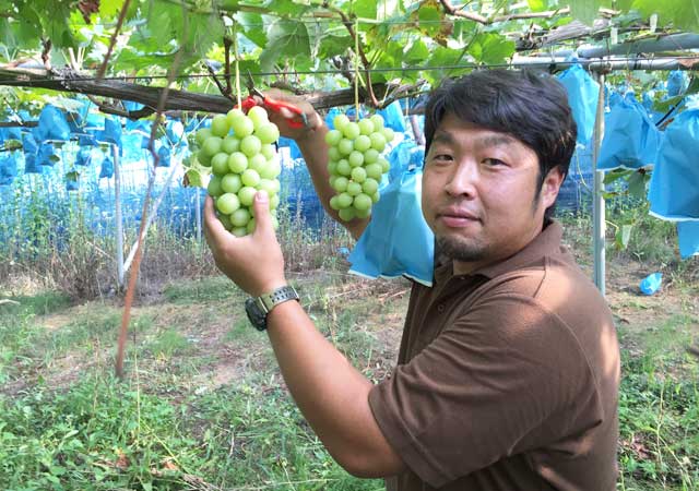 三宅農園　三宅さんの商品一覧へ