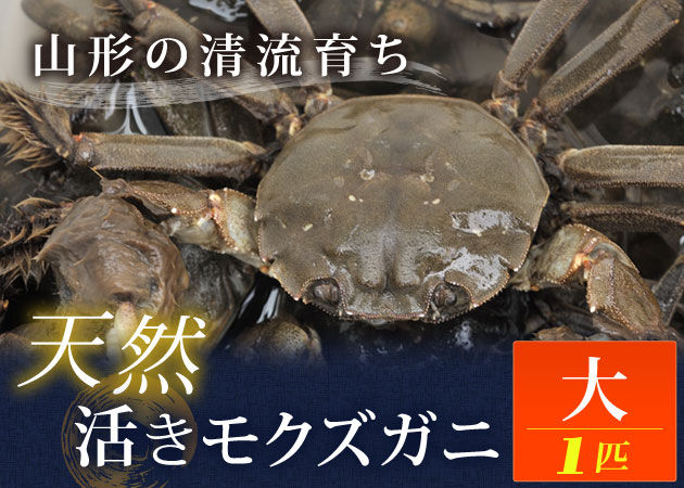 天然活きモクズガニ【大1匹】［クール便］購入ページへ