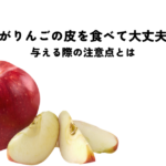 犬がりんごの皮を食べても大丈夫？与える際の注意点とはの記事へ