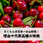 さくらんぼ日本一は山形県！その理由や代表品種の特徴とはの記事へ