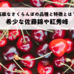 高級なさくらんぼの品種とその特徴とは？希少な佐藤錦や紅秀峰を紹介の記事へ