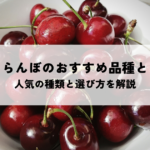 さくらんぼのおすすめ品種とは？人気の種類と選び方を解説の記事へ