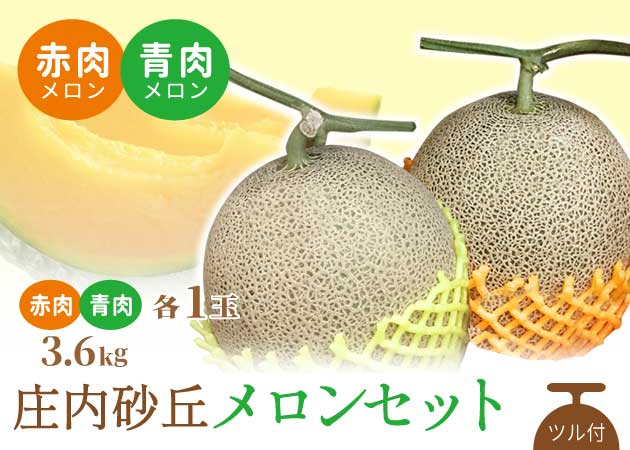 庄内砂丘メロンセット（青肉・赤肉各1玉ツル付）3.6kg購入ページへ