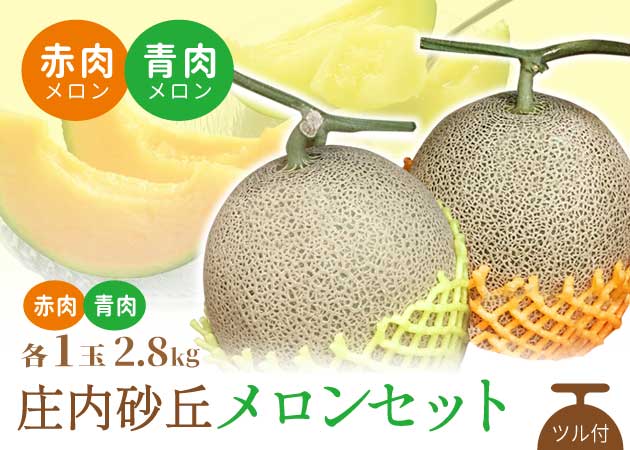 庄内砂丘メロンセット（赤肉・赤肉各1玉2.8㎏）ツル付購入ページへ