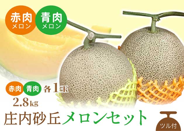庄内砂丘メロンセット（青肉・赤肉各1玉ツル付）2.8kg購入ページへ