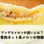 アンデスメロンと他のメロンとの違いとは？青肉ネット系メロンの特徴を解説の記事へ