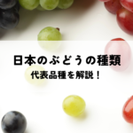 日本のぶどうの種類とは？在来種から導入種育成種までの代表品種を解説！の記事へ