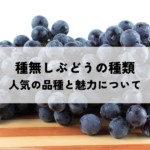 種無しぶどうの種類とは？人気の品種と魅力についての記事へ