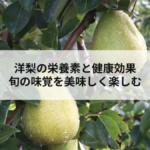 洋梨の栄養素と健康効果 旬の味覚を美味しく楽しむの記事へ